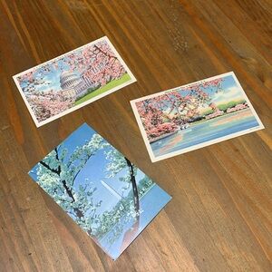 Set of 3 Antique Postcards Washington DC Cherry Blossoms